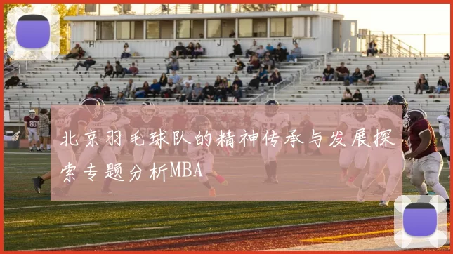 北京羽毛球队的精神传承与发展探索专题分析MBA
