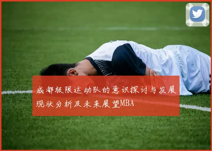 成都极限运动队的意识探讨与发展现状分析及未来展望MBA