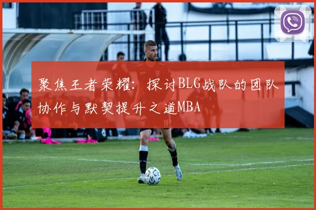 聚焦王者荣耀：探讨BLG战队的团队协作与默契提升之道MBA